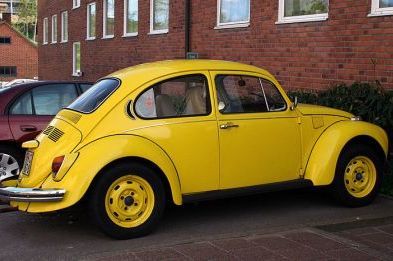 Beetle (classic) 5